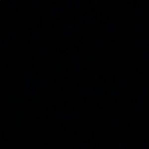 Meet your Posher, Sammy